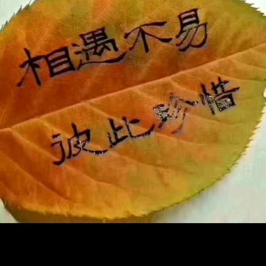 爱您一生一世不后悔