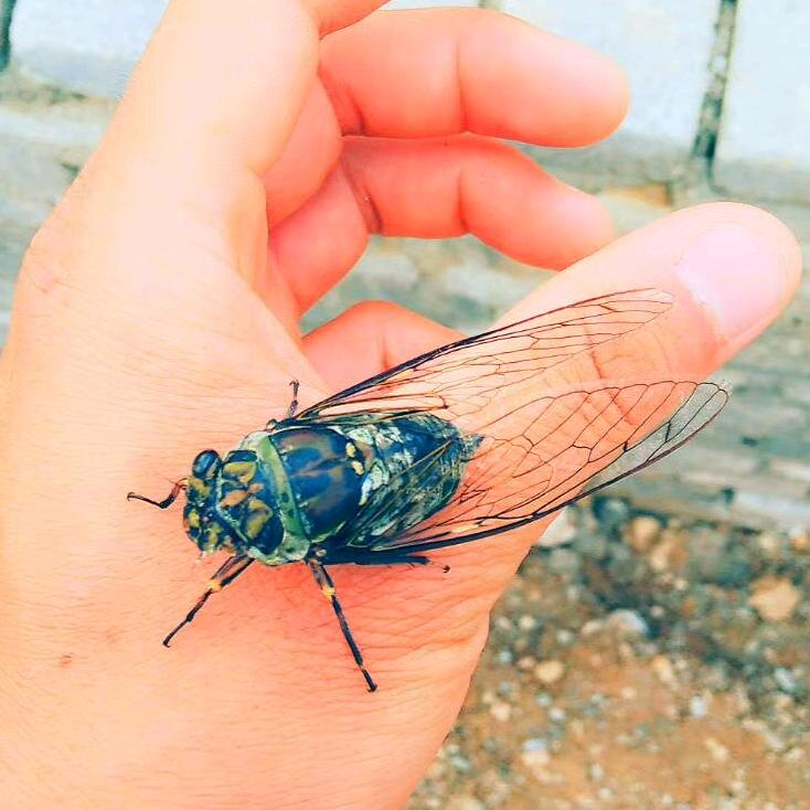 起手优选优物
