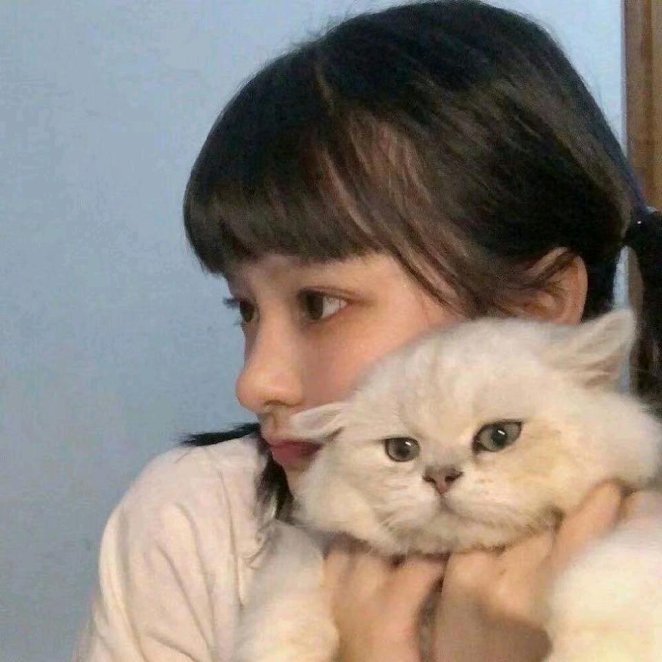 形容