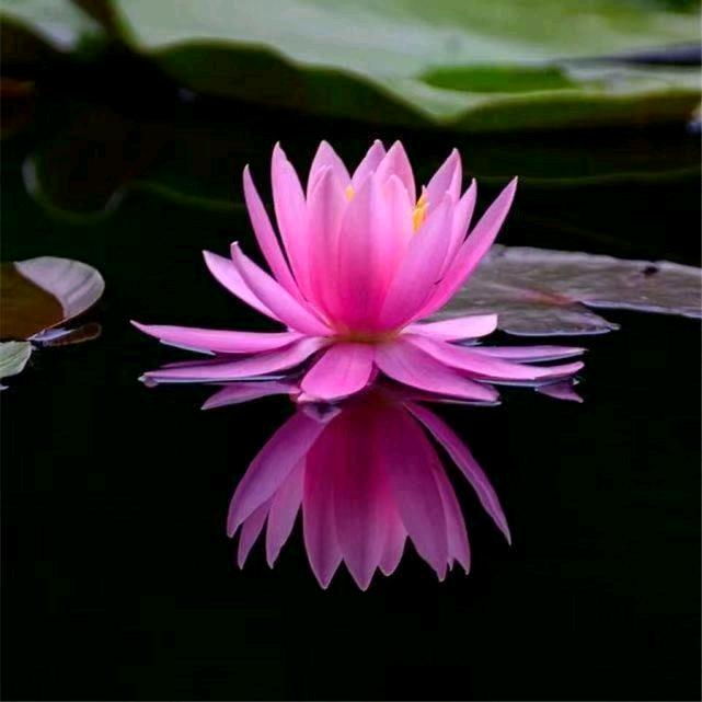 静荷