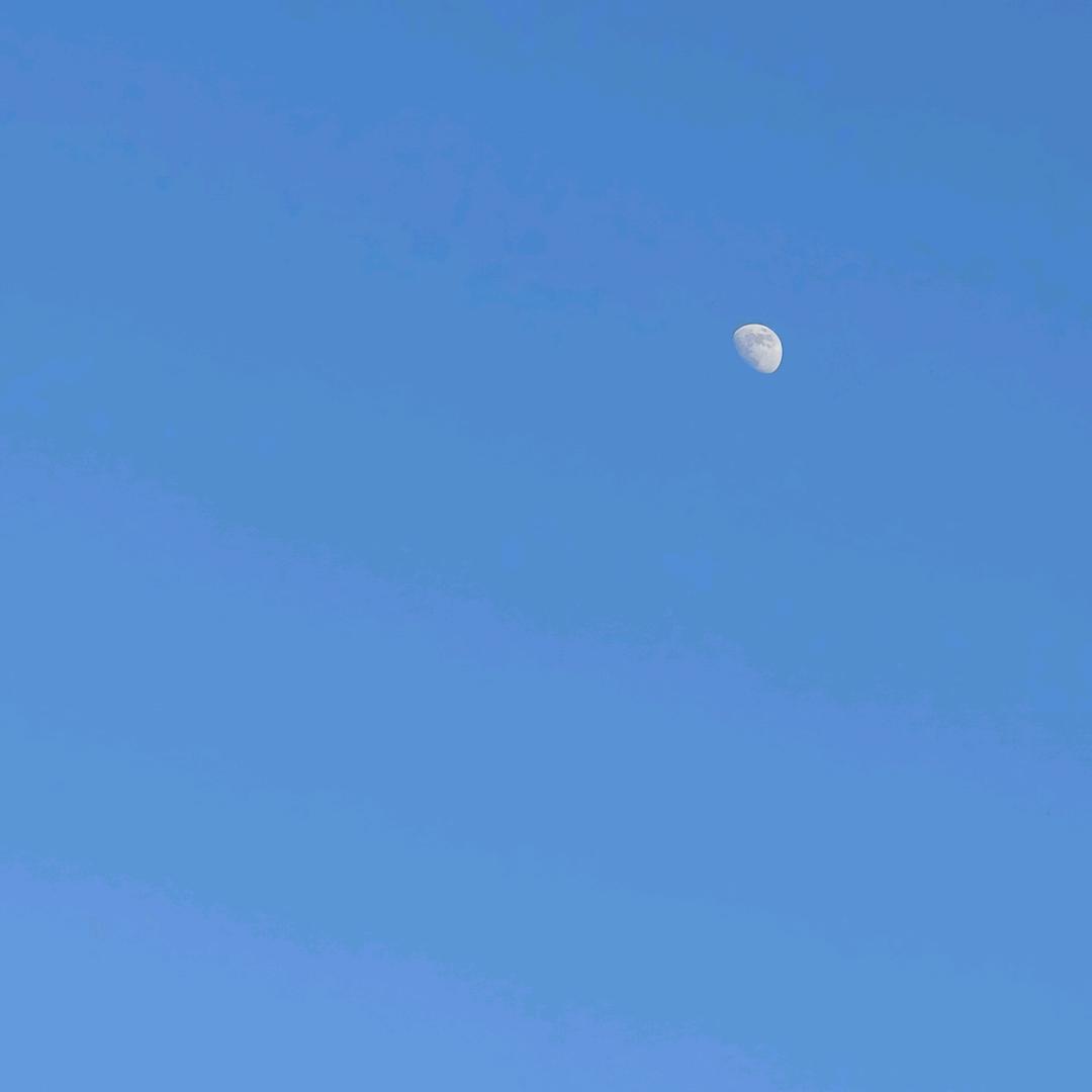 🚲.