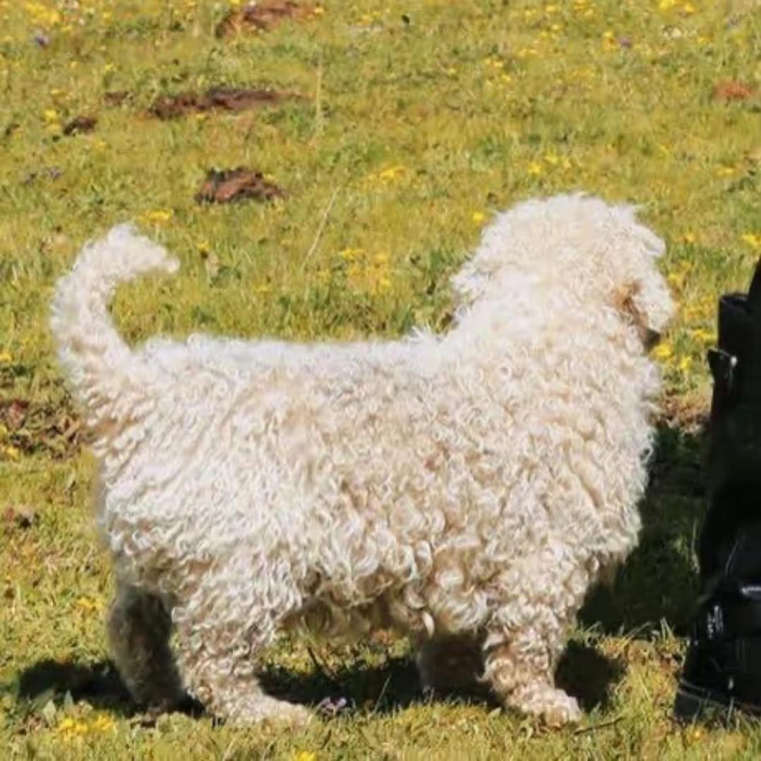 早睡早睡早点睡っ ̯ -｡