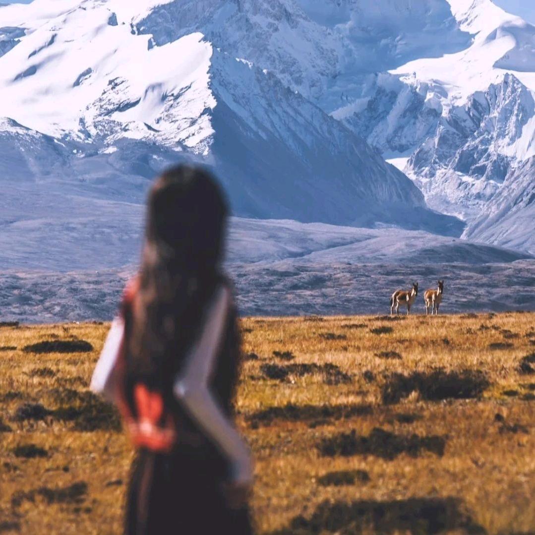 我的情绪乱⁷⁸糟（恩师：飞天土豆大王）