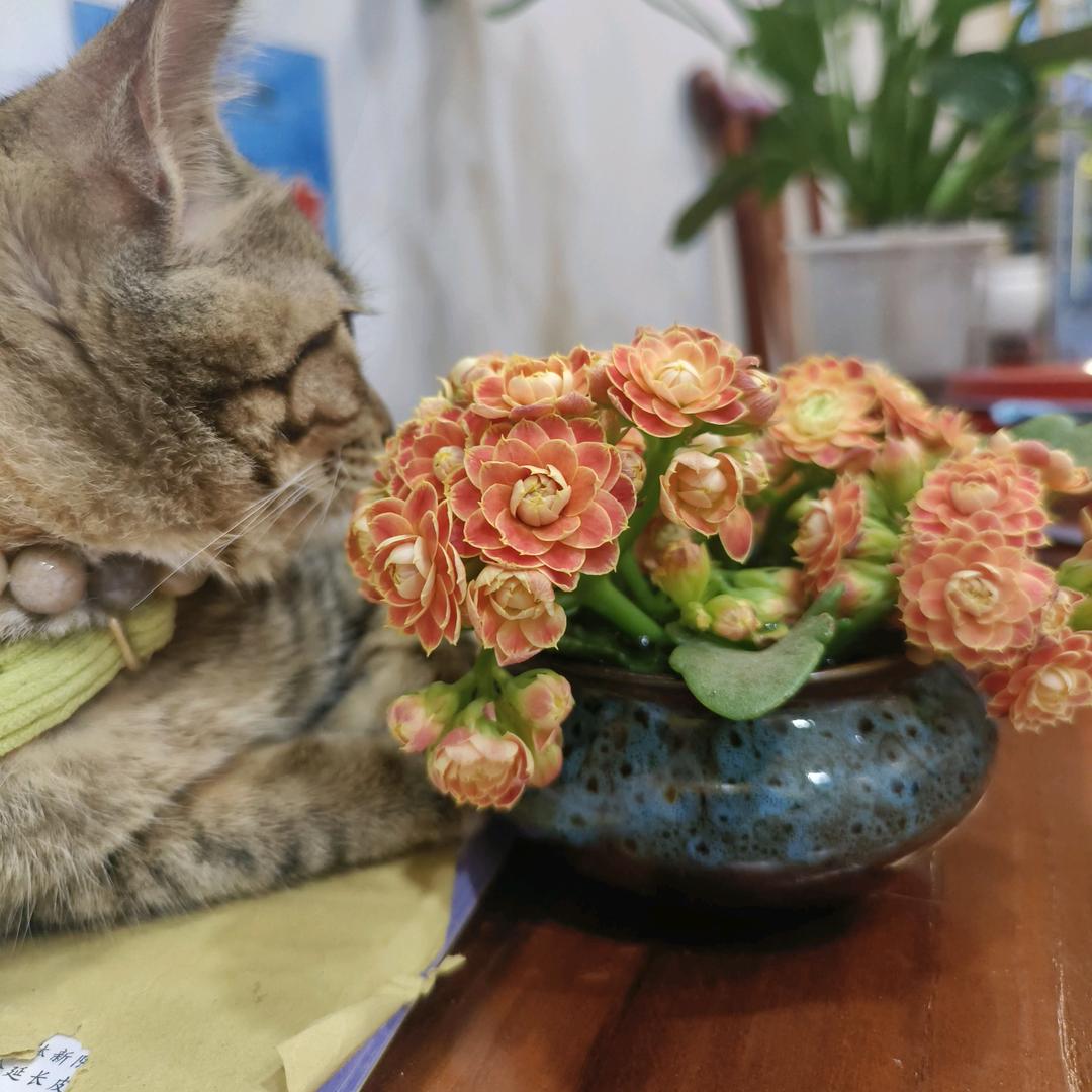 痣信堂(常州总店)官方号