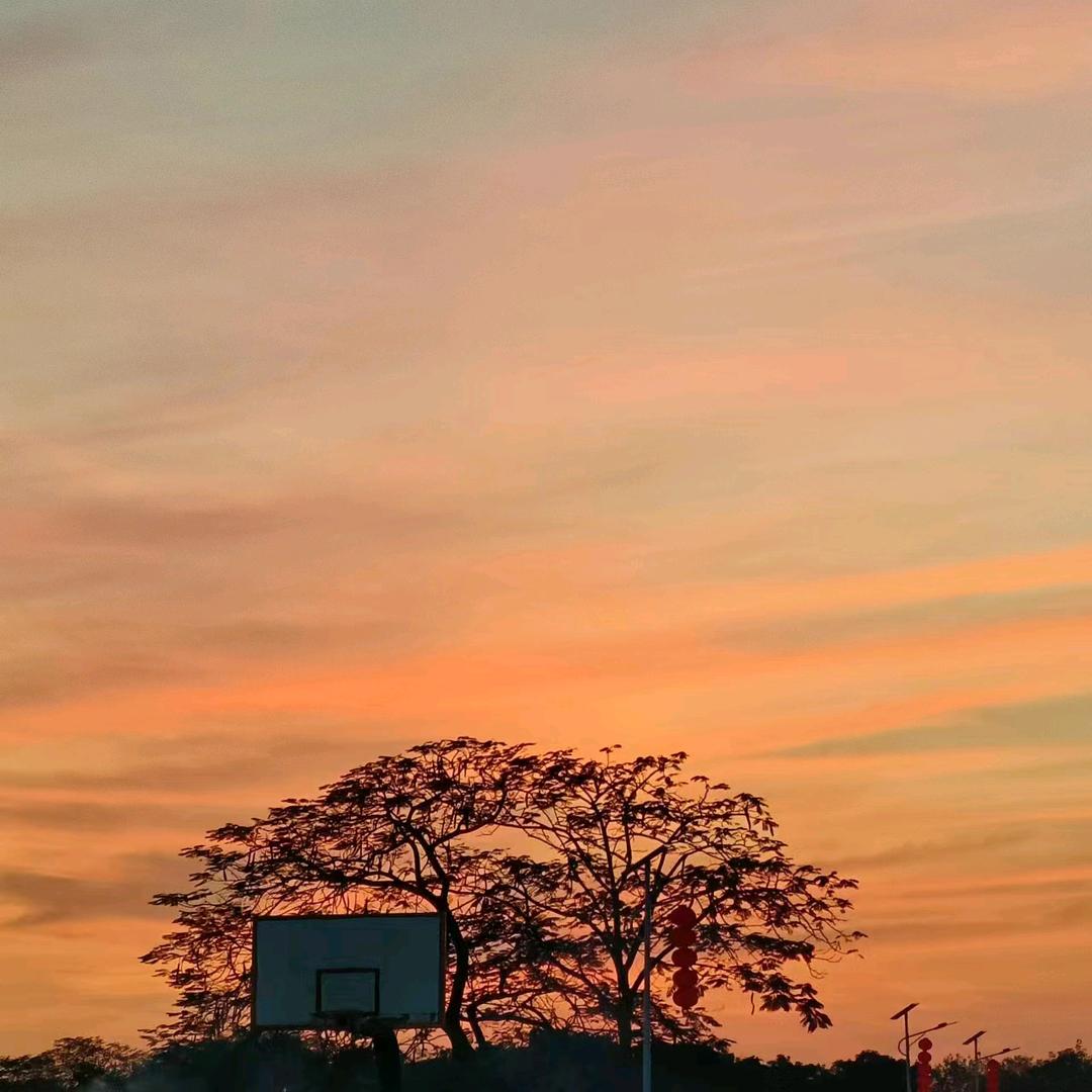 AA锦涵好物⁹⁸⁵