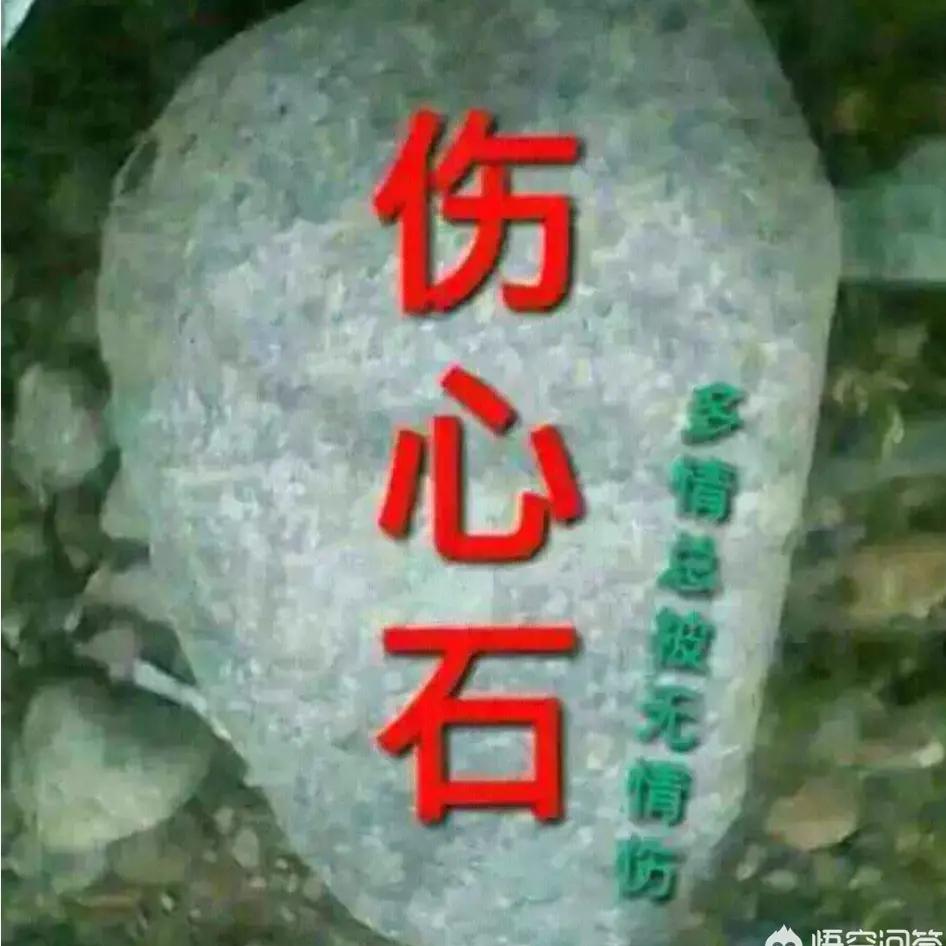 💋渡我💋人生💋