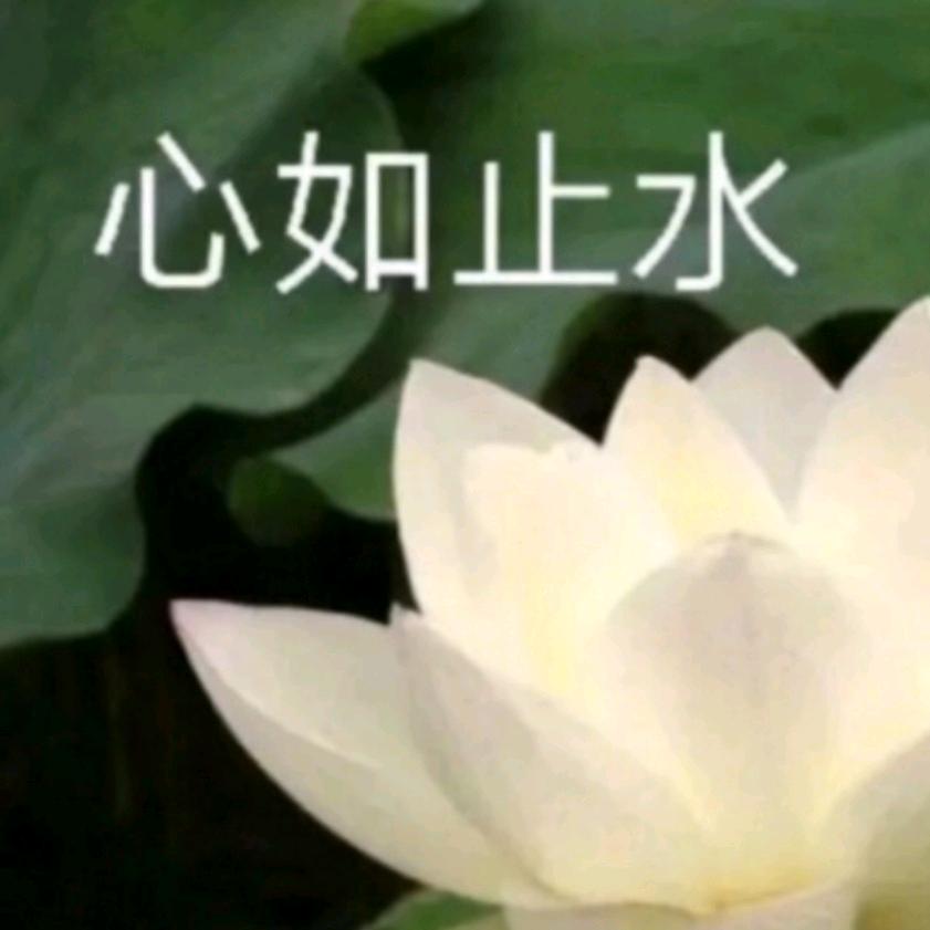 一杯蘇打水🧊