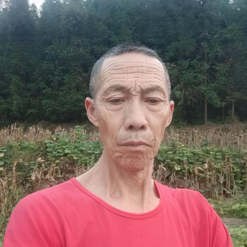 宝爸火了助力号，大号上午10点8分首播