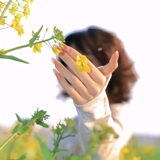 朵朵