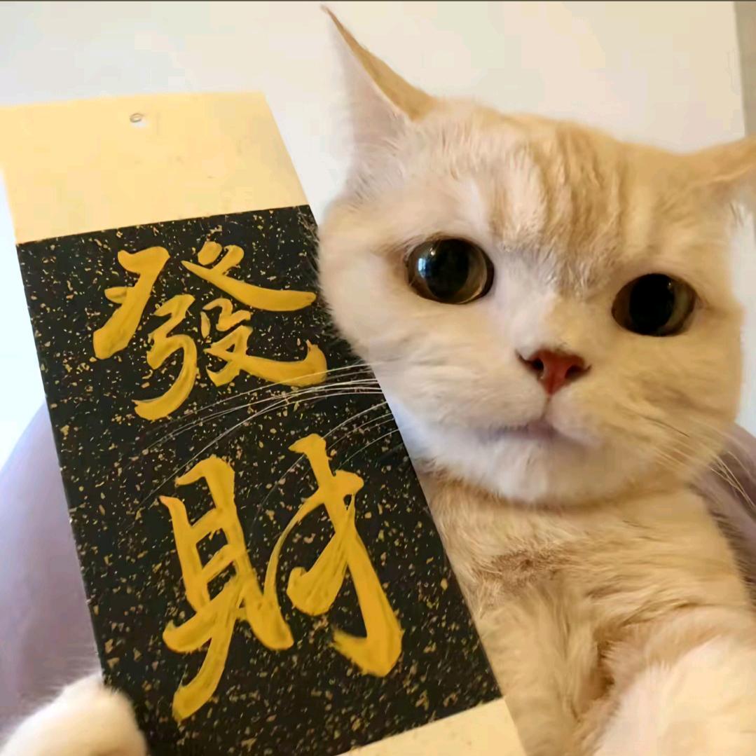 成小宁
