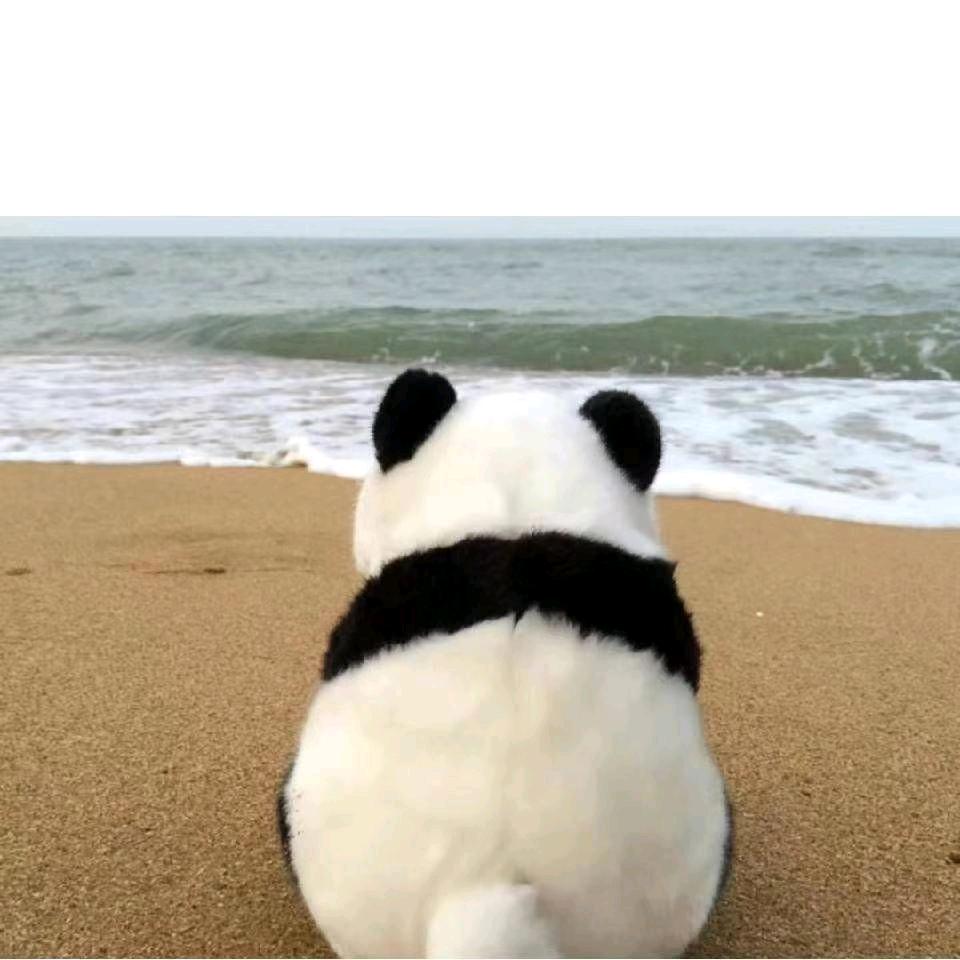 昌琳宝贝