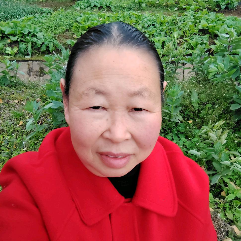 天天奶奶(中午12点30)