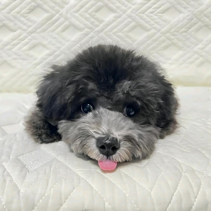 欢欢乐乐吃不饱