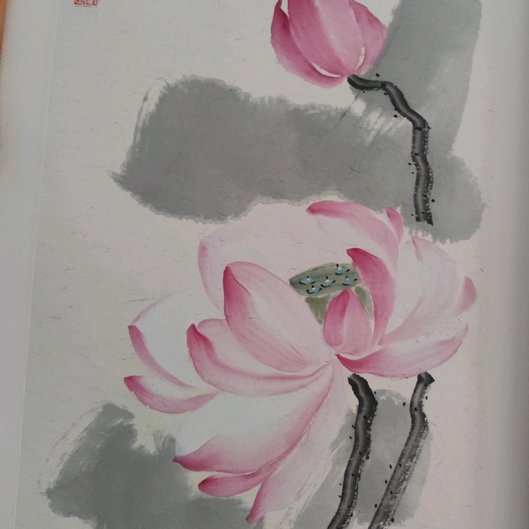 缘纷