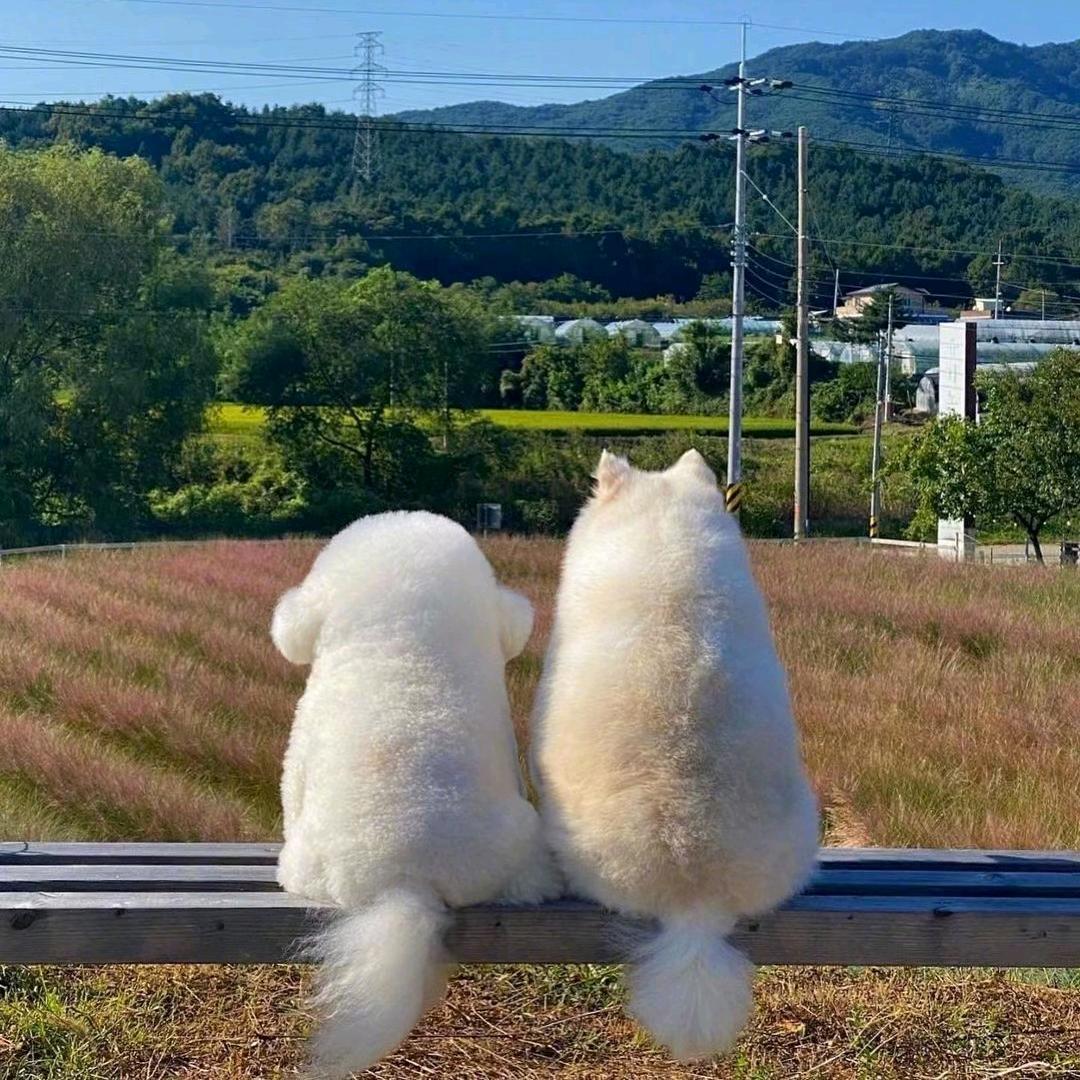 @ღ᭄进财小甜心℘࿐