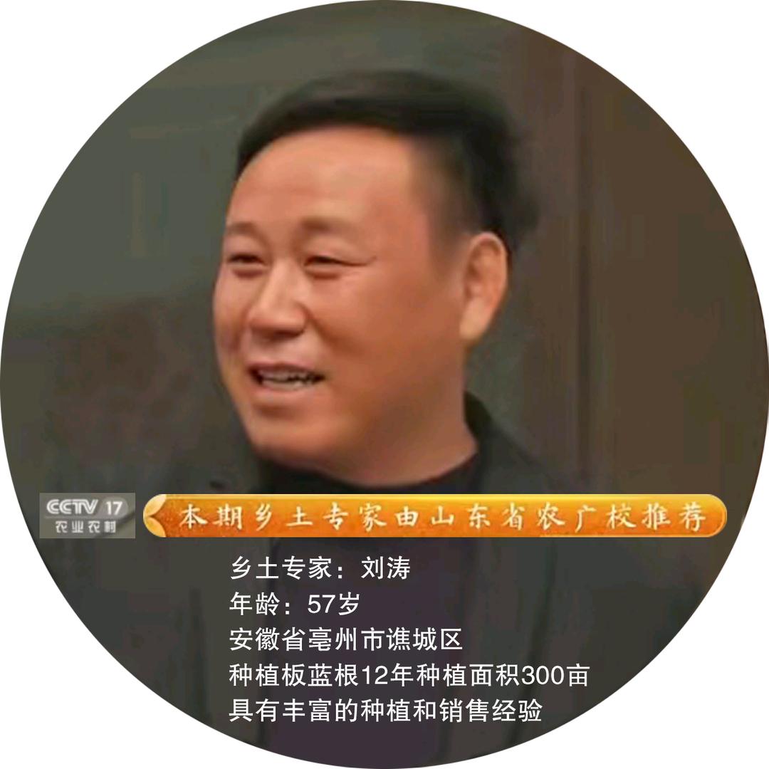 为涛中药材种植