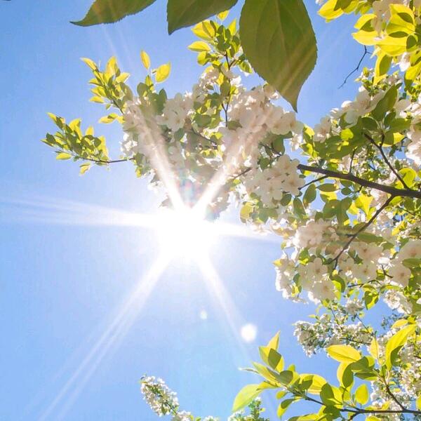 এ故事缺酒໌ᮨ🚬也缺🍶དྷ༗࿐