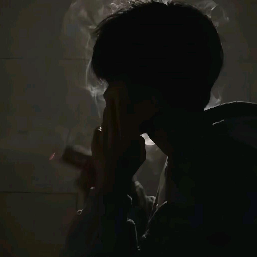 终似少年困红尘