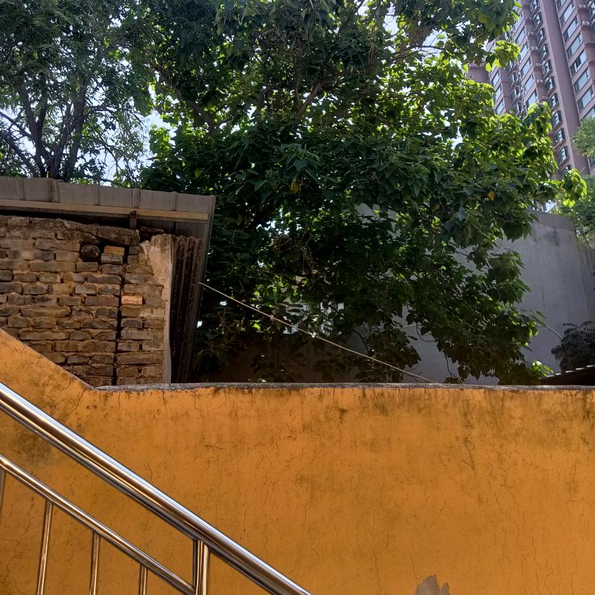 风景无限
