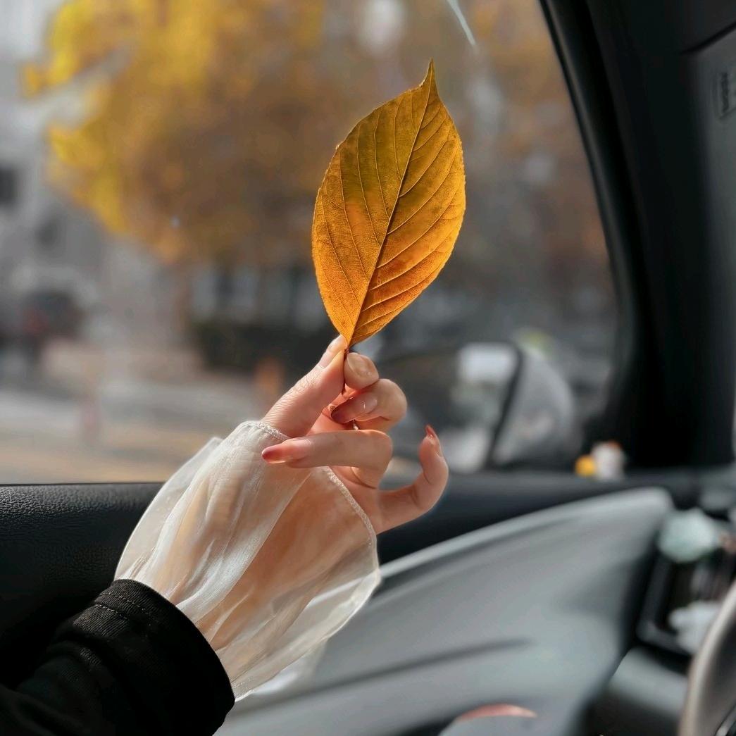 星璇映暖คิดถึง青梧引安