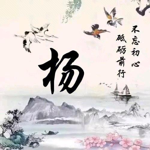 狼行天下