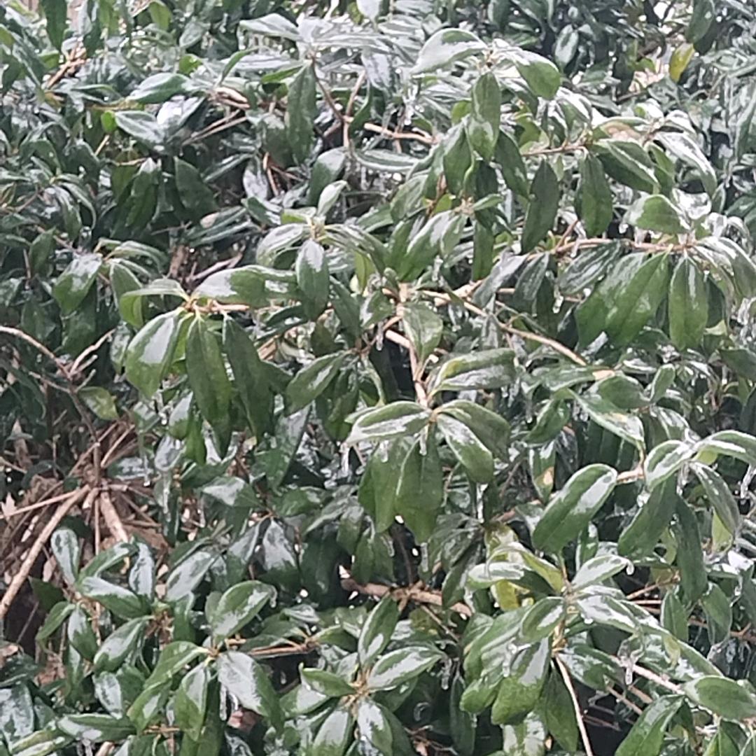 益阳超哥