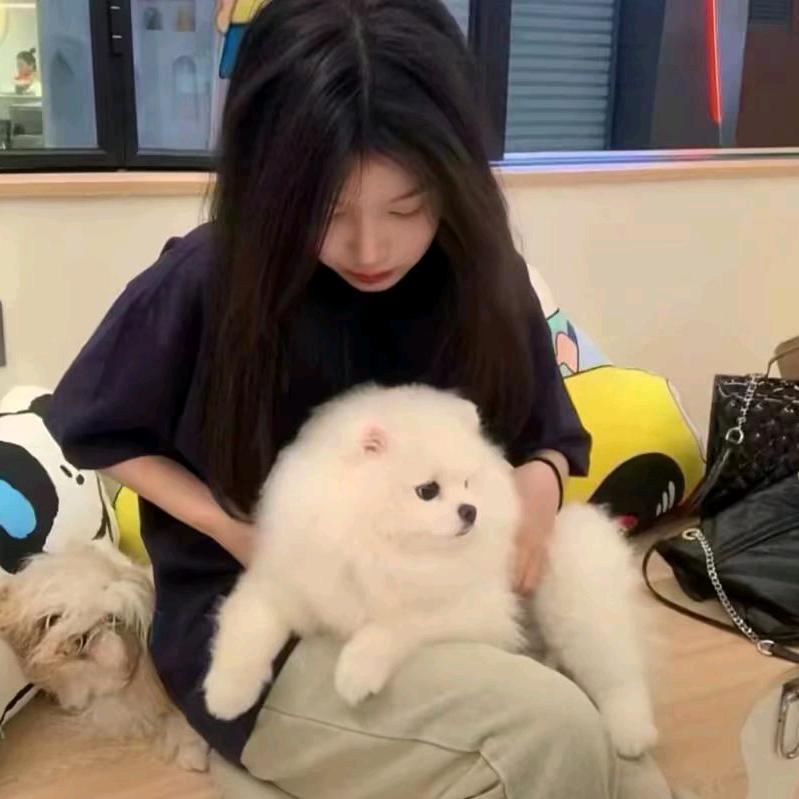 不许凶小琳💕