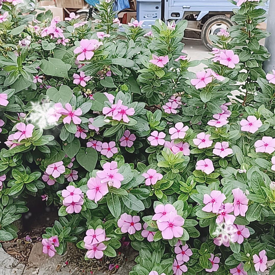 有舍才有得