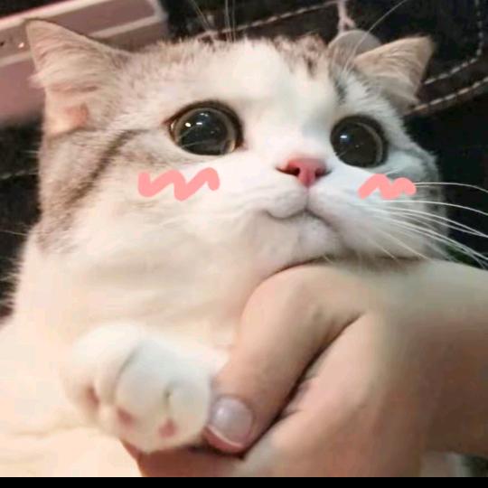 ❀͜͡💓⃨⃰遇̶͜见̶͜