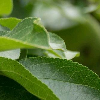 外婆配件就看在真咯