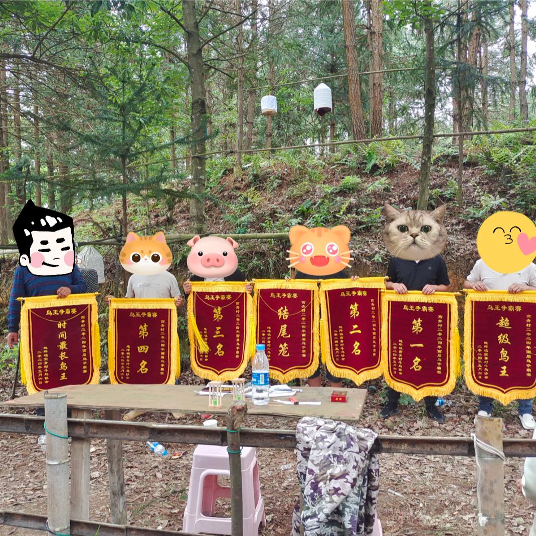 小潘鸟食   小号