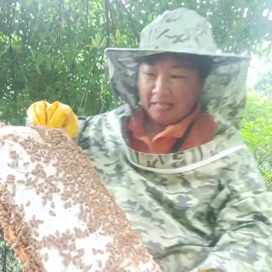 蜂蜜姐说媒汤新文