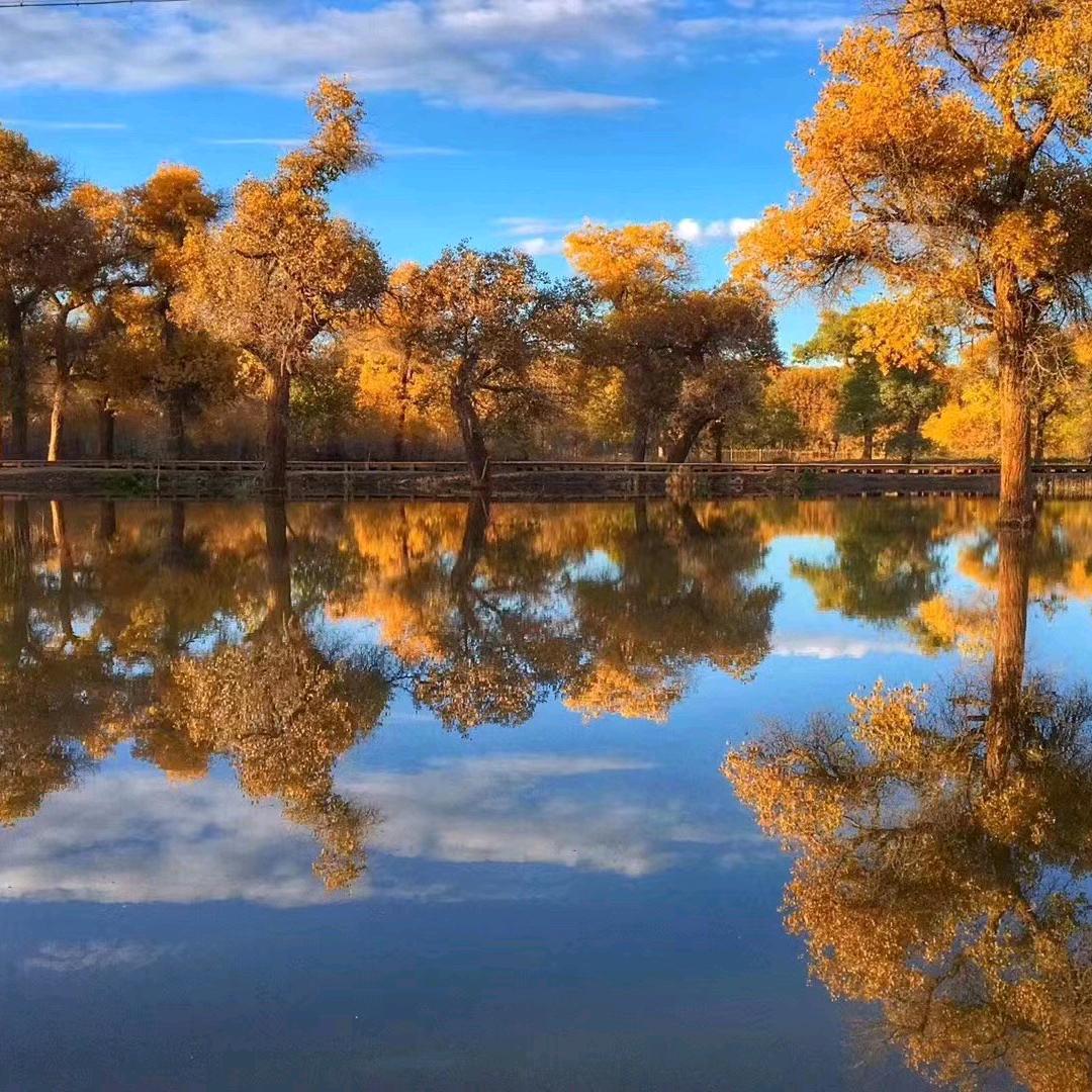 德阳钱多多旅游