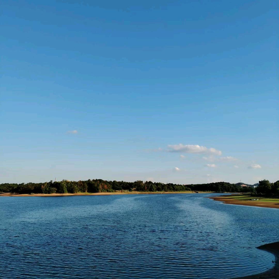 乐光行胡琴艺术