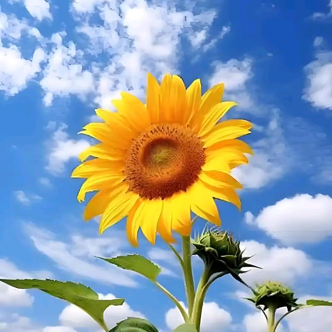 一笑而过