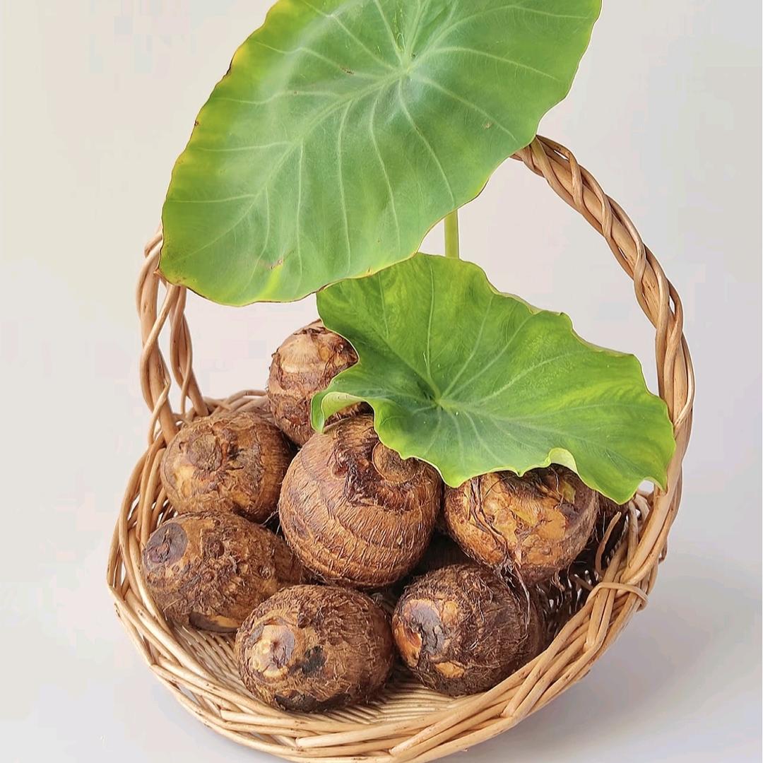 芋农管家
