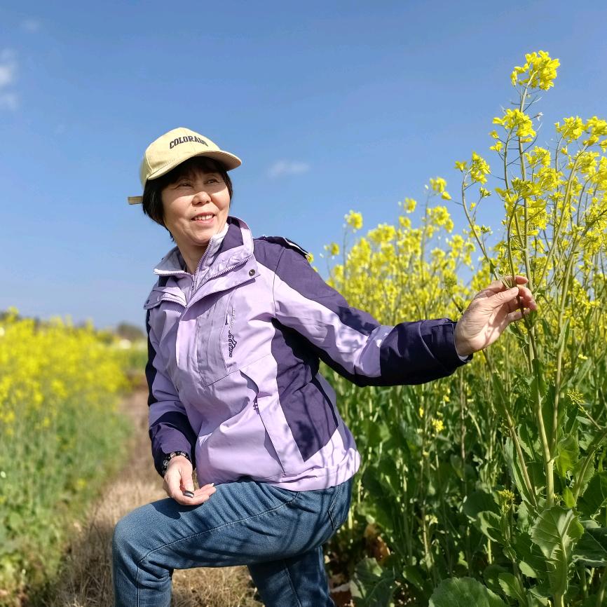 鑫鑫阅读