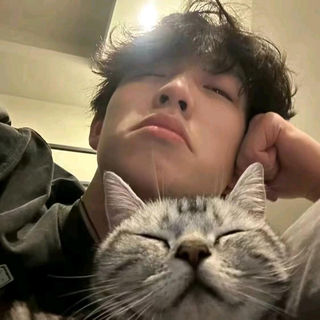 ꪝ.