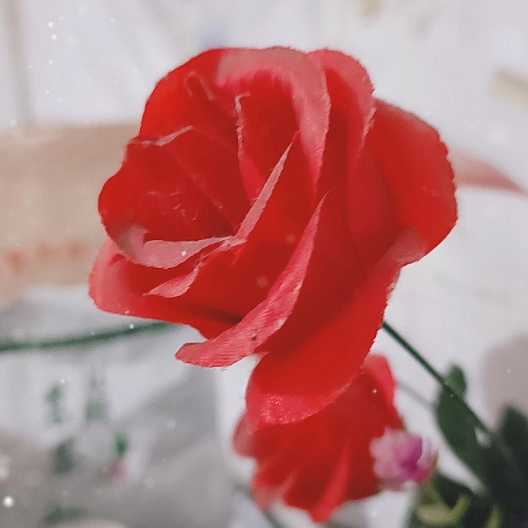 嫑脸