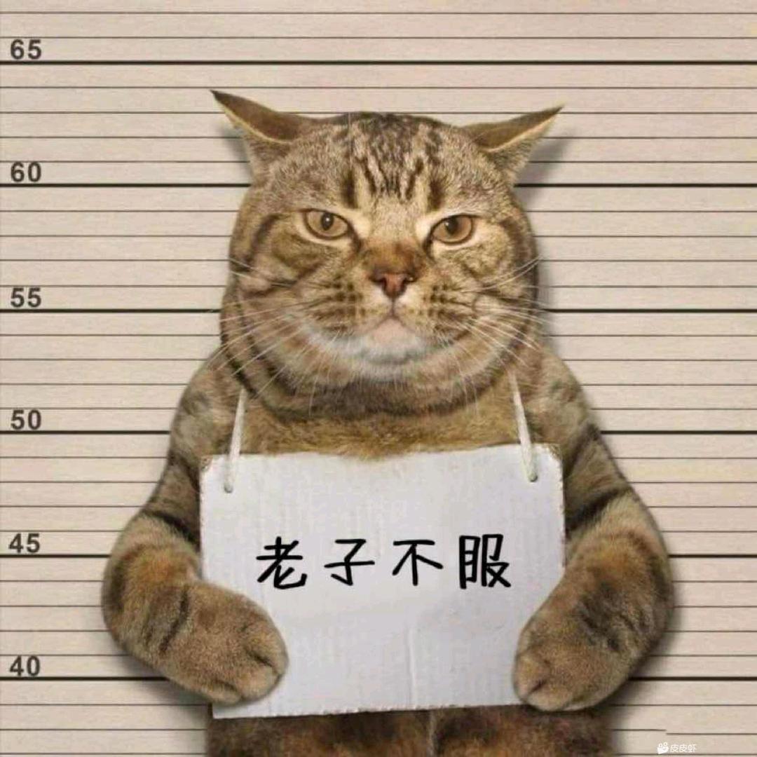 逍遥