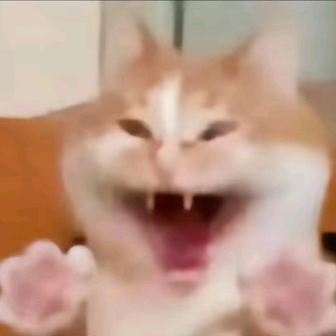 阿糠