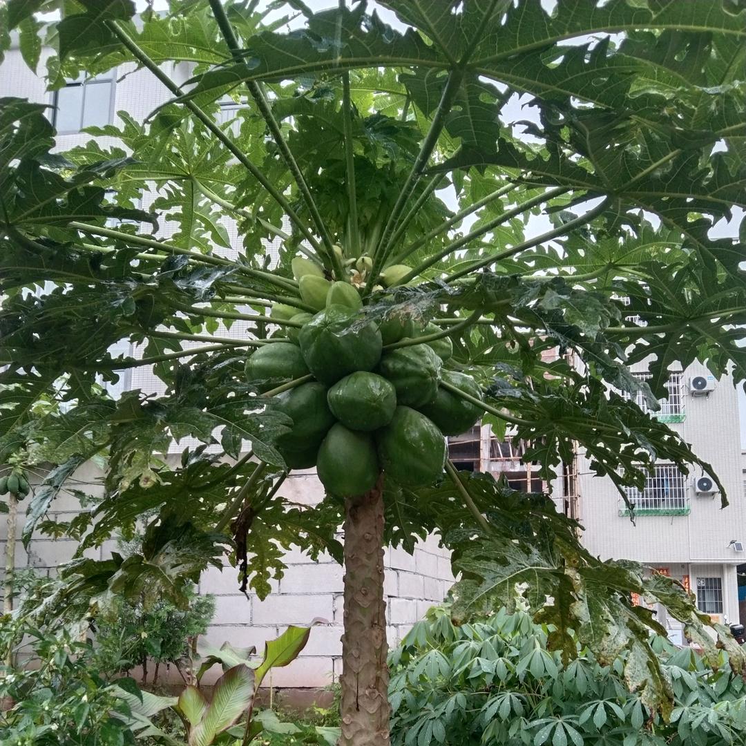 画个句号给昨天