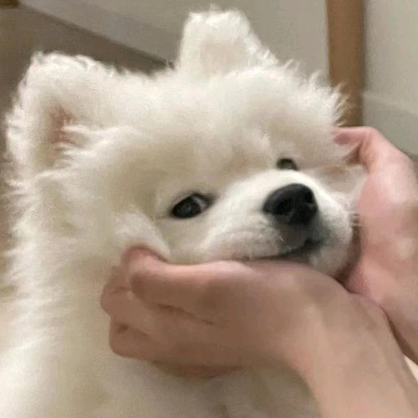 小小