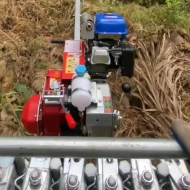 海南省保亭县果园山地转做轨道车林先生