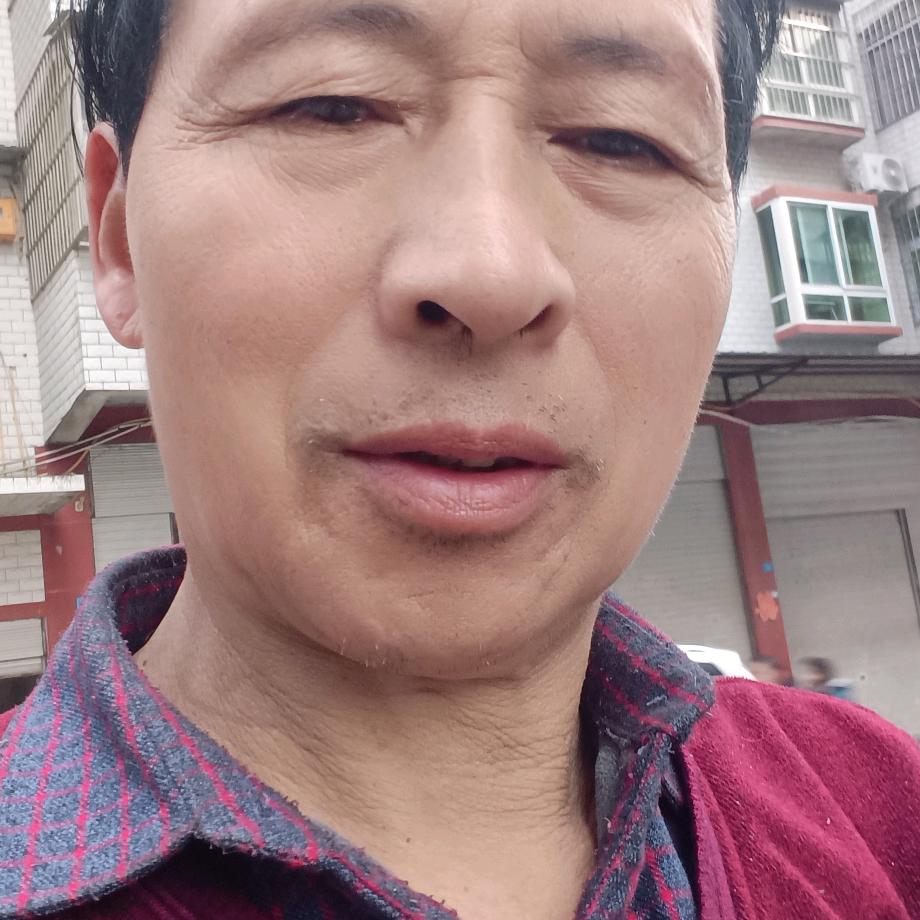 仙天歌