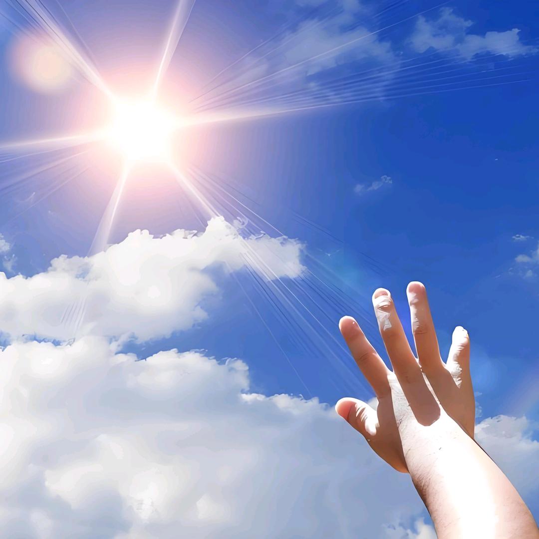 呈盛商贸王熙稚