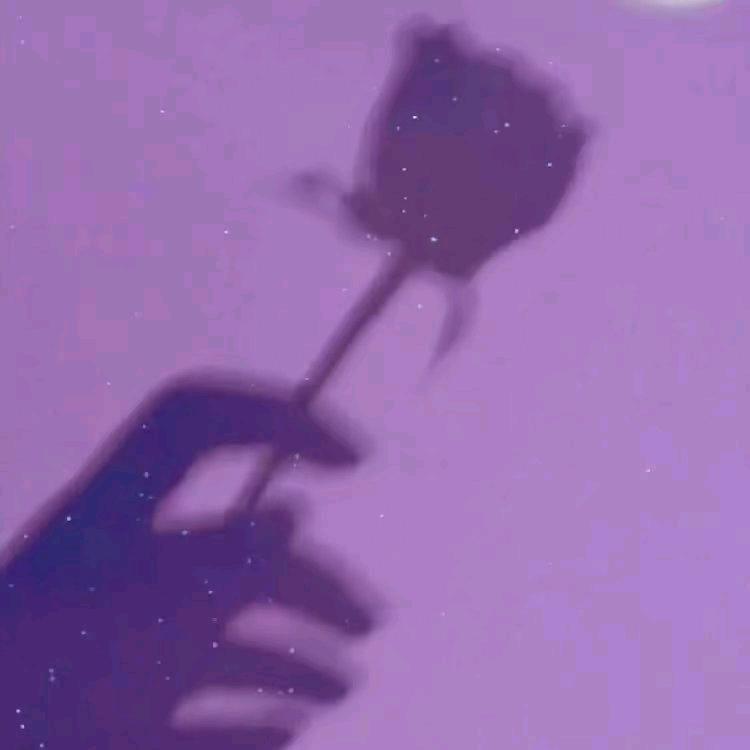 林小橘