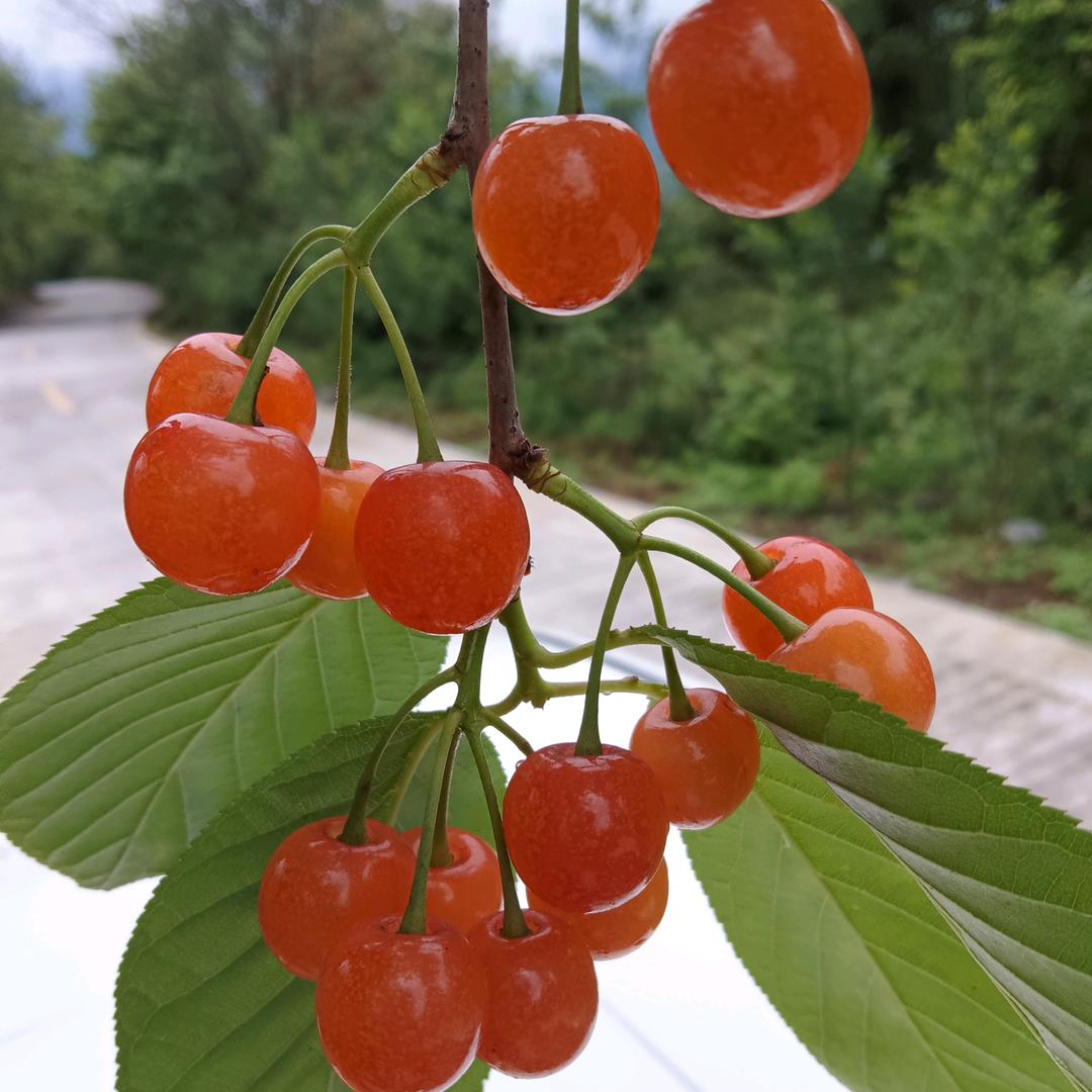 最熟的陌生