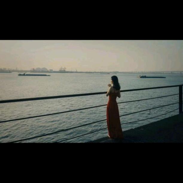 樱花飘落只为你