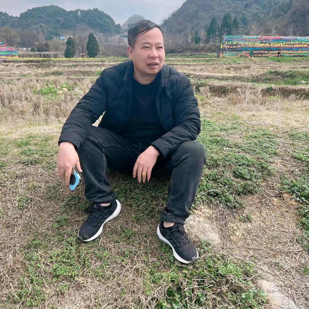 一跎牛屎
